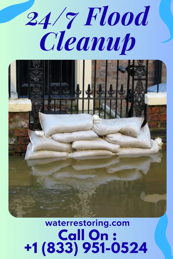 24/7 Flood Cleanup in Remer, MN